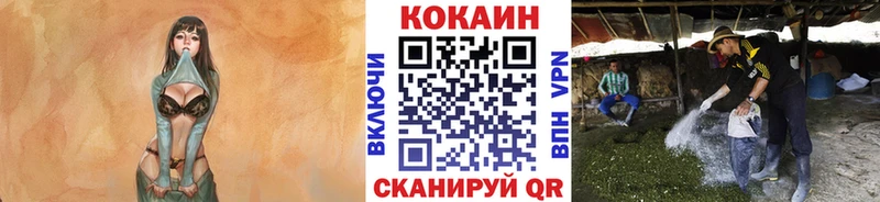 Наркошоп Красавино Alpha PVP  Codein  Галлюциногенные грибы  Гашиш  COCAIN  МЕФ  МЕТАДОН  АМФ  Канабис 