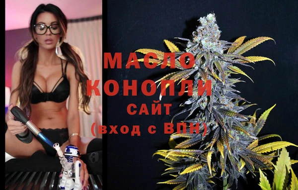 индика Баксан