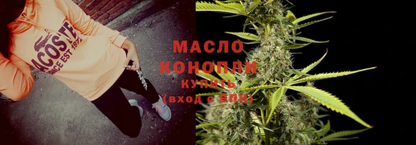 индика Баксан