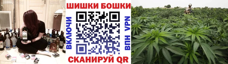 как найти закладки Красавино Марихуана сатива
